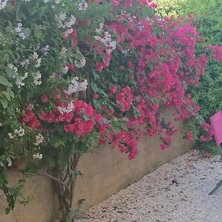 Cabesthotes فندق مبيت وإفطار 3*