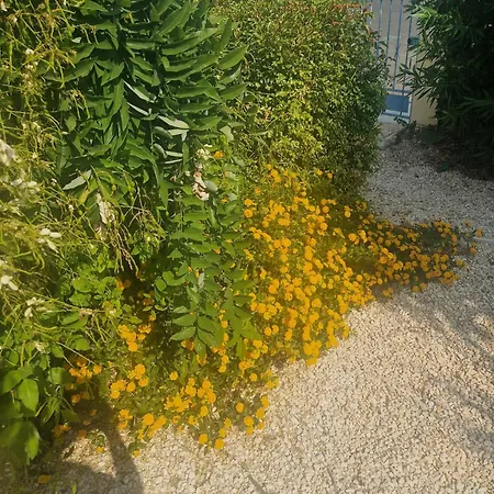 Cabesthotes فندق مبيت وإفطار 3*